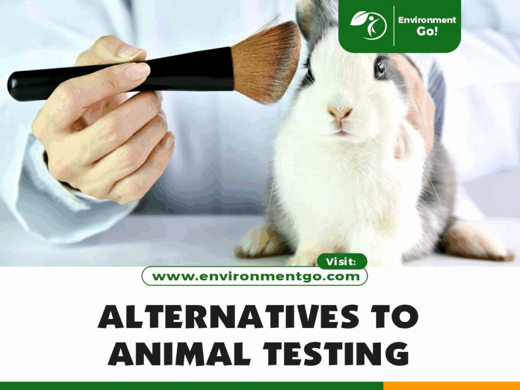Animal Testing Alternatives: Government’s New Plan Explained image 0sbe4x16mf.png