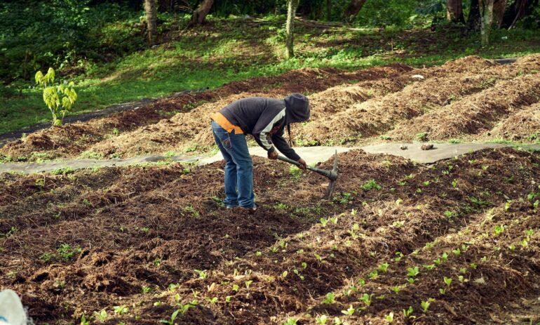 image 0y0mankase.png