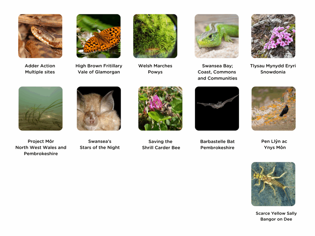 image 329e5ad7 b213 4146 a57b 3d24106d6994.png