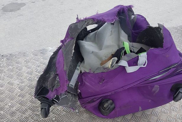 Ryanair Luggage Damage: Shocking £50 Compensation Offer image 3sq07p89aj.png
