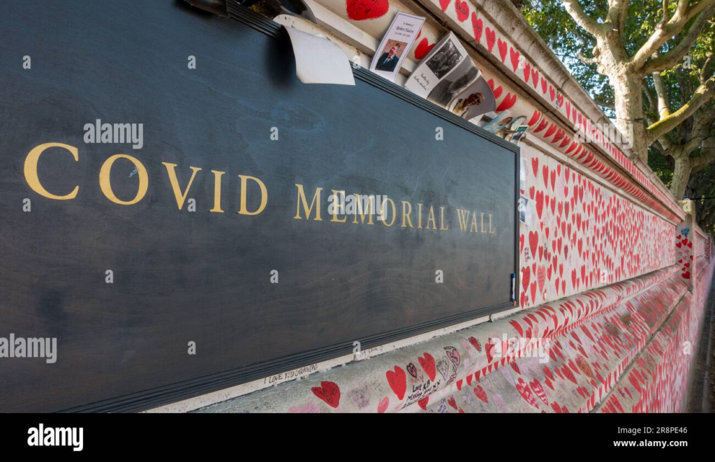 Covid Memorial Wall: Honoring Grief and Accountability image 473b1bb1 a418 4c70 a993 6a40d0466bbc.png