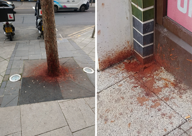 Paan Spitting in Brent: Tackling a Costly Clean-Up Issue image 68bc1462 436c 4c85 b588 a9d94d471f40.png