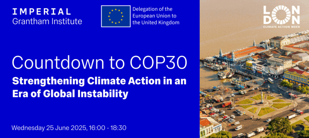 COP30 Student Climate Action: Young Voices in Belfast image 91s8z4ks8g.png