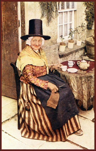 Lady Howells of St Davids: Champion of Racial Equality image bmcclqsoa3.png