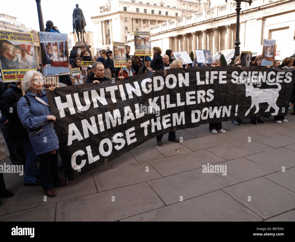 Image C6DBA00J9F 1024x839