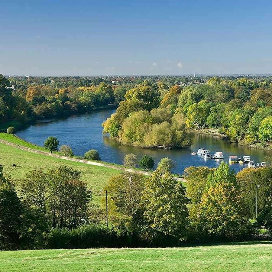 Richmond Hill Views: The Best Thing to Do in London image dxazhbf4mt.png