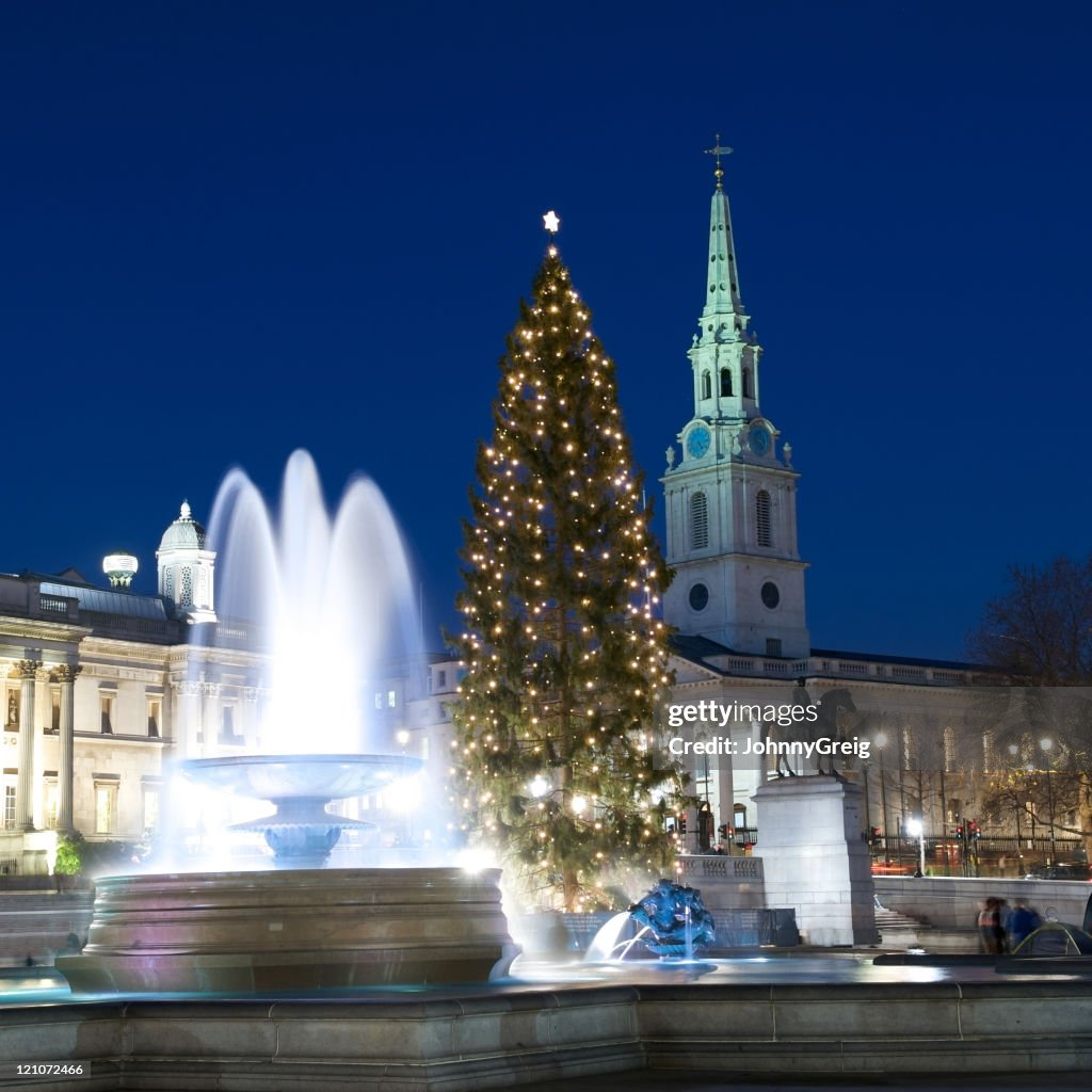 Trafalgar Square Christmas Tree: A Symbol of Friendship image lsme7kl6vc.png