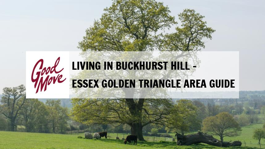 Life in Buckhurst Hill: A Village Atmosphere Near London image lstf8soemo.png