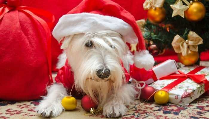 image nyyoyo9n8m.png