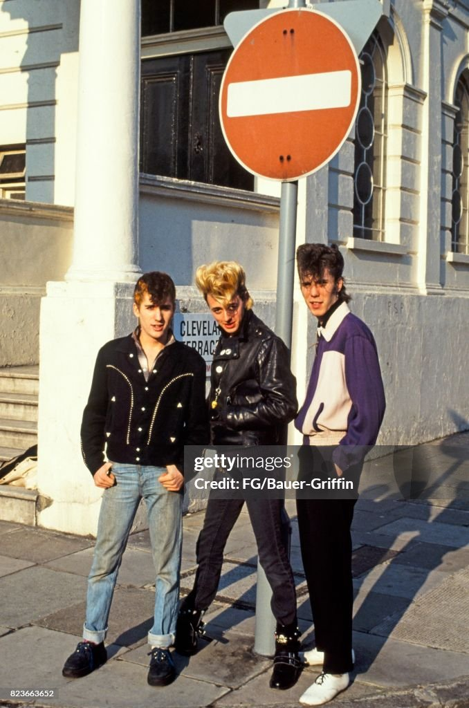 Stray Cats in South London: A Compassionate Journey image rjeqpvbr7e.png