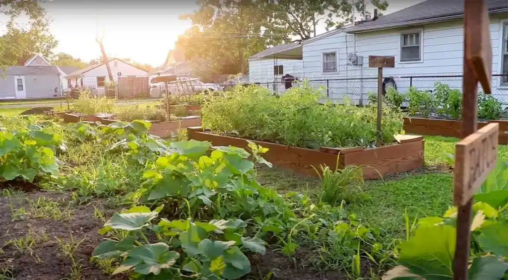 image d6899d2f 1c00 4d21 8fec 9b096592ff5f.png