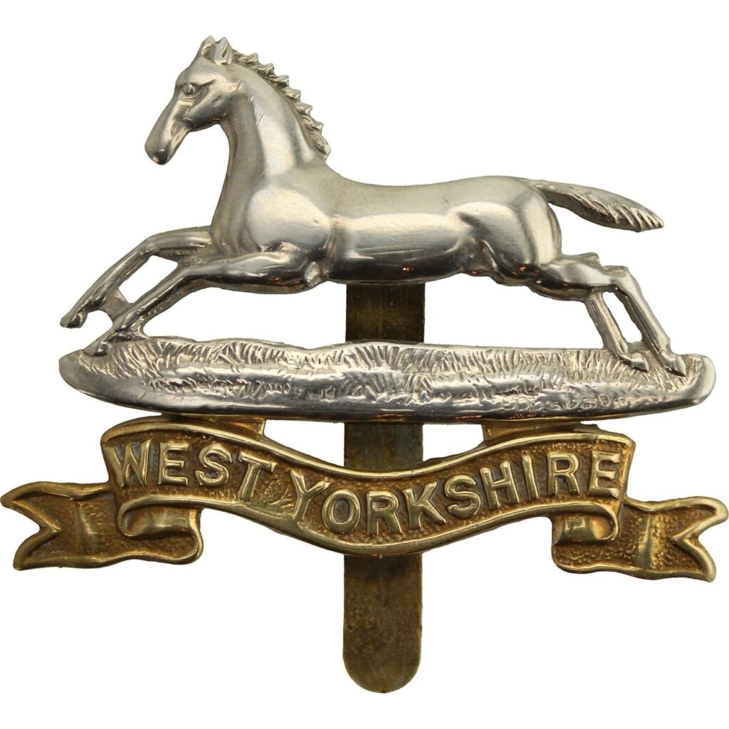 79987gfgjhgkg683699502 scaled.jpg