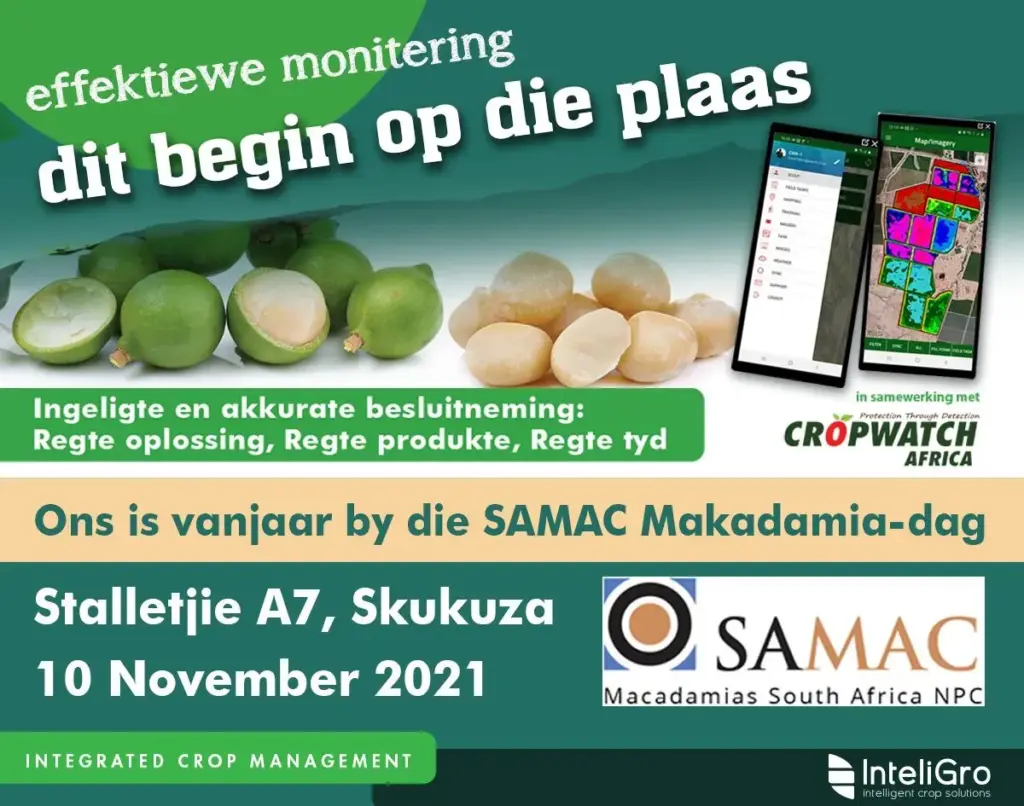 image 021cc0b6 54f0 4fb0 9631 da0fe1ac0c46.webp