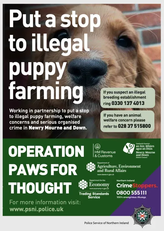 image 051bbead 9fee 4f95 9f79 8d7569f1ce2a.webp