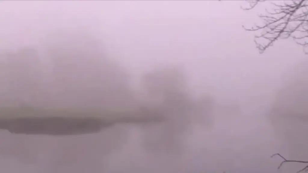 image 14be1feb 66c2 43a2 97ca d9cda55b6f76.webp