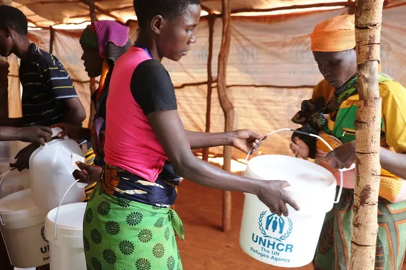 image 1875f726 ef22 4317 84ff fa7b2c78be2f.webp