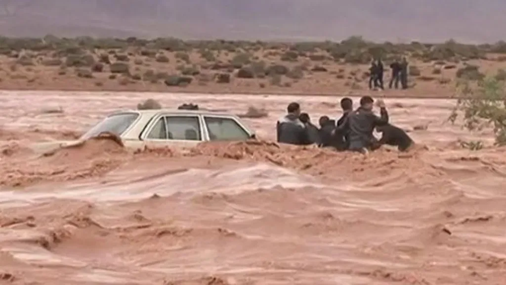 image 1bf80fdc 9db2 414a 9ec4 962e8d17d146.webp