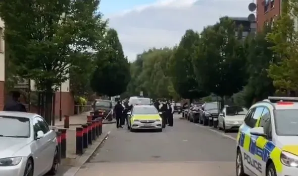 image 24cacd41 3bff 4f31 8831 9e65725b05bb.webp