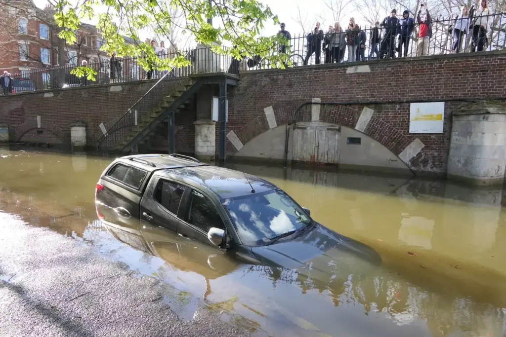 image 24e79c69 35e4 46c8 9cfc 9afb6f8e3201.webp