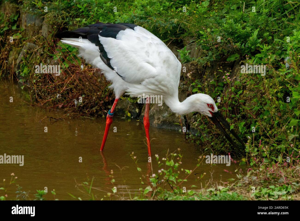 image 269d12b7 d3a4 412c b259 6e2a0155b417.png