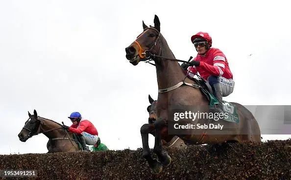 image 279ad499 5121 4647 b03f 515038c03e2b.webp