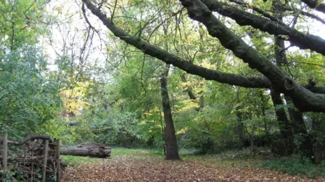 image 279b1ecd 47d6 4750 ab97 9fcec243adfb.webp