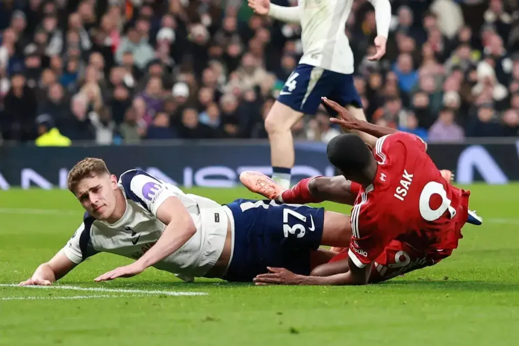 image 33e7782c 0b77 4a97 9db8 b27c57b46c52.webp