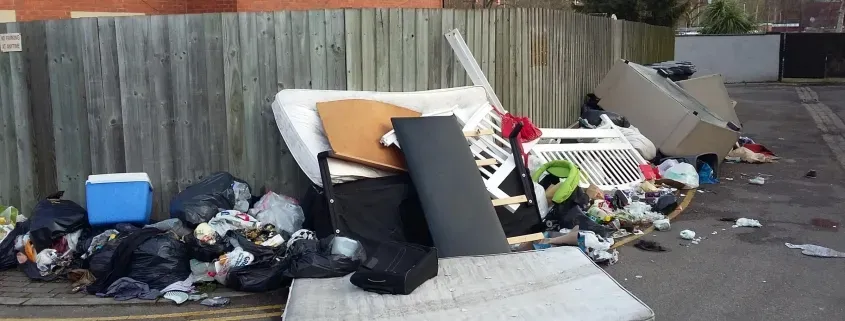 image 342ced2c 0c96 49dd 8a5f 4dc41d9189f4.webp