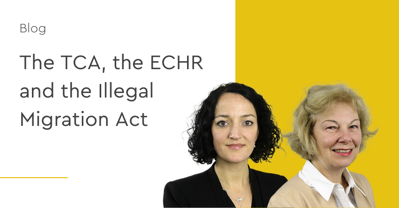 ECHR and Irregular Migration: Council of Europe Takes Action image 3c54bc65 7e20 4522 b8ea 2d6d49586d1e.png