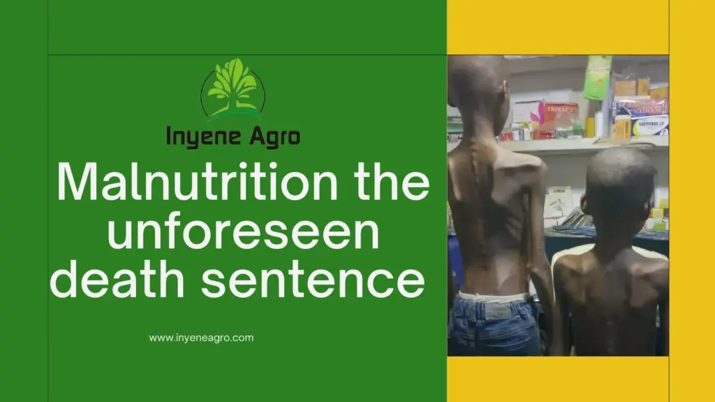 image 3eb5acb4 1d23 4909 8017 17c769d3c92a.webp