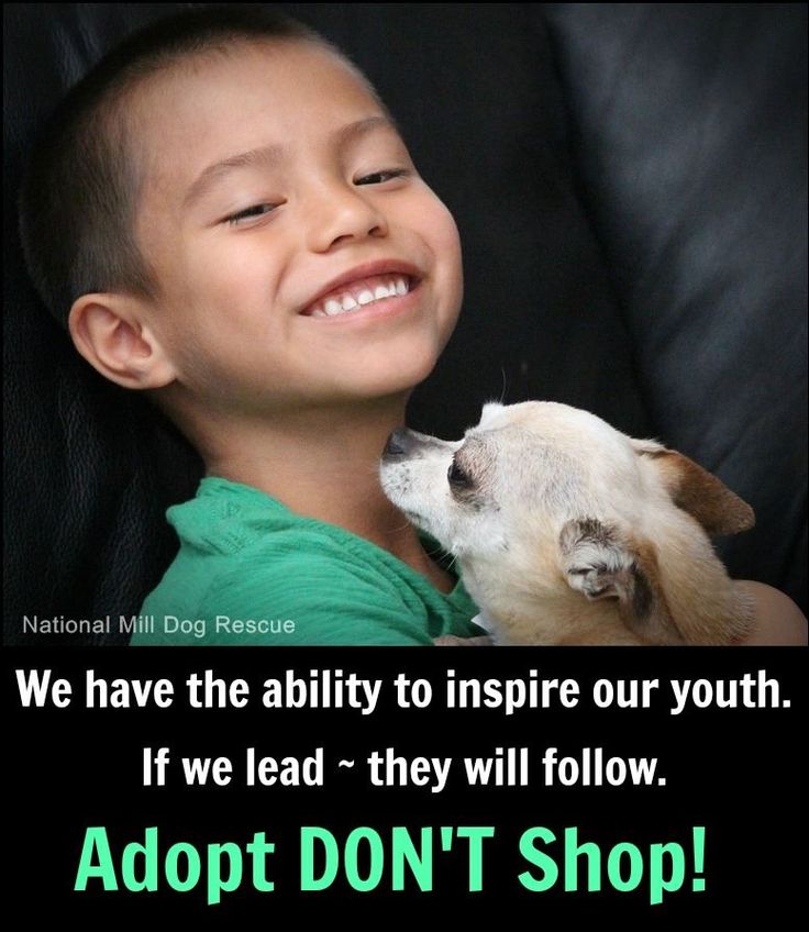 image 3fc6ff9f a489 4801 a461 acfeeef17315.png