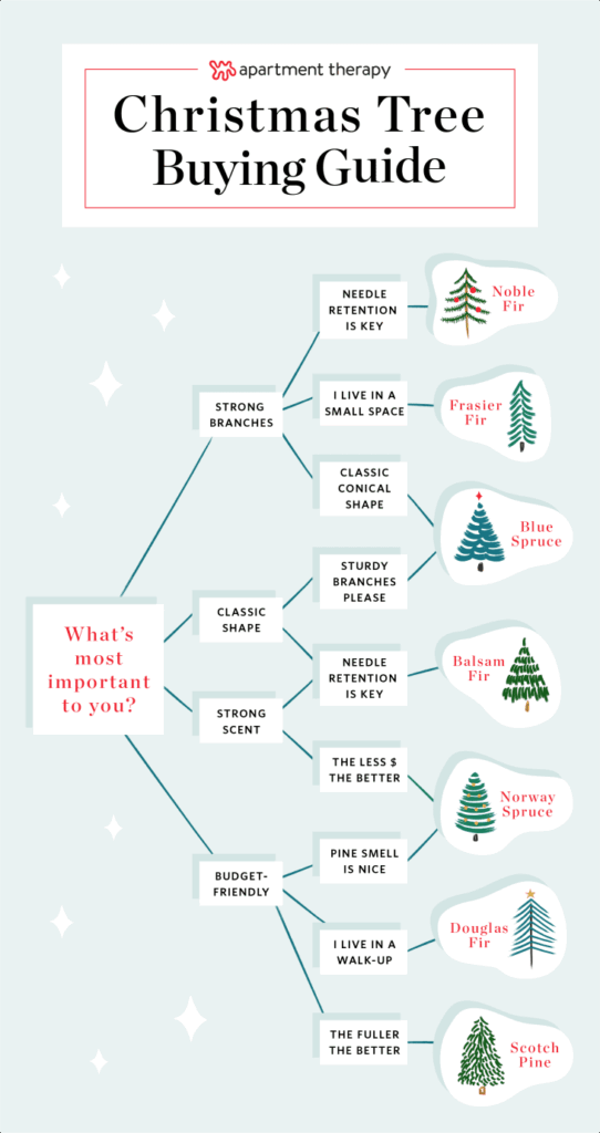 Christmas Tree Buying Tips for a Festive London Home image 43e2d7ff b975 4342 8254 dabe6a3f952e.png