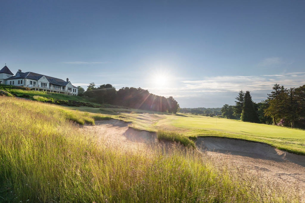 image 48dd5d85 68dd 4b5e 8438 48add196fab4.png