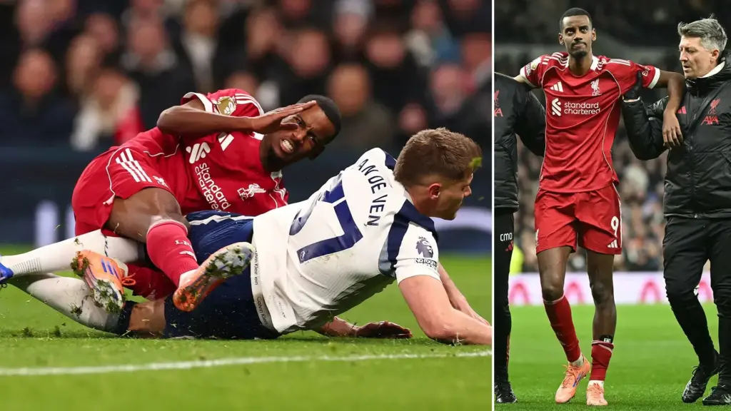 image 55aae01e 7066 48c4 a499 b9ac737616d6.webp