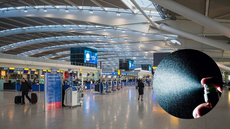 Heathrow Airport Pepper Spray Attack Injures 21 People image 5886bc4d 6634 4250 a5da 41377470151b.png