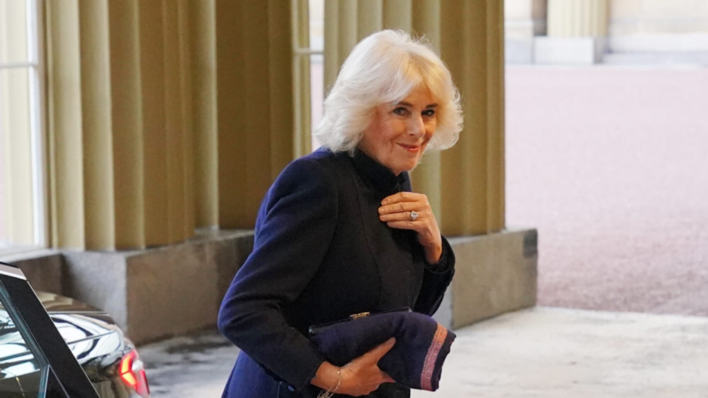 image 595f762e d1a7 45f8 8696 05aaffceaef2.png