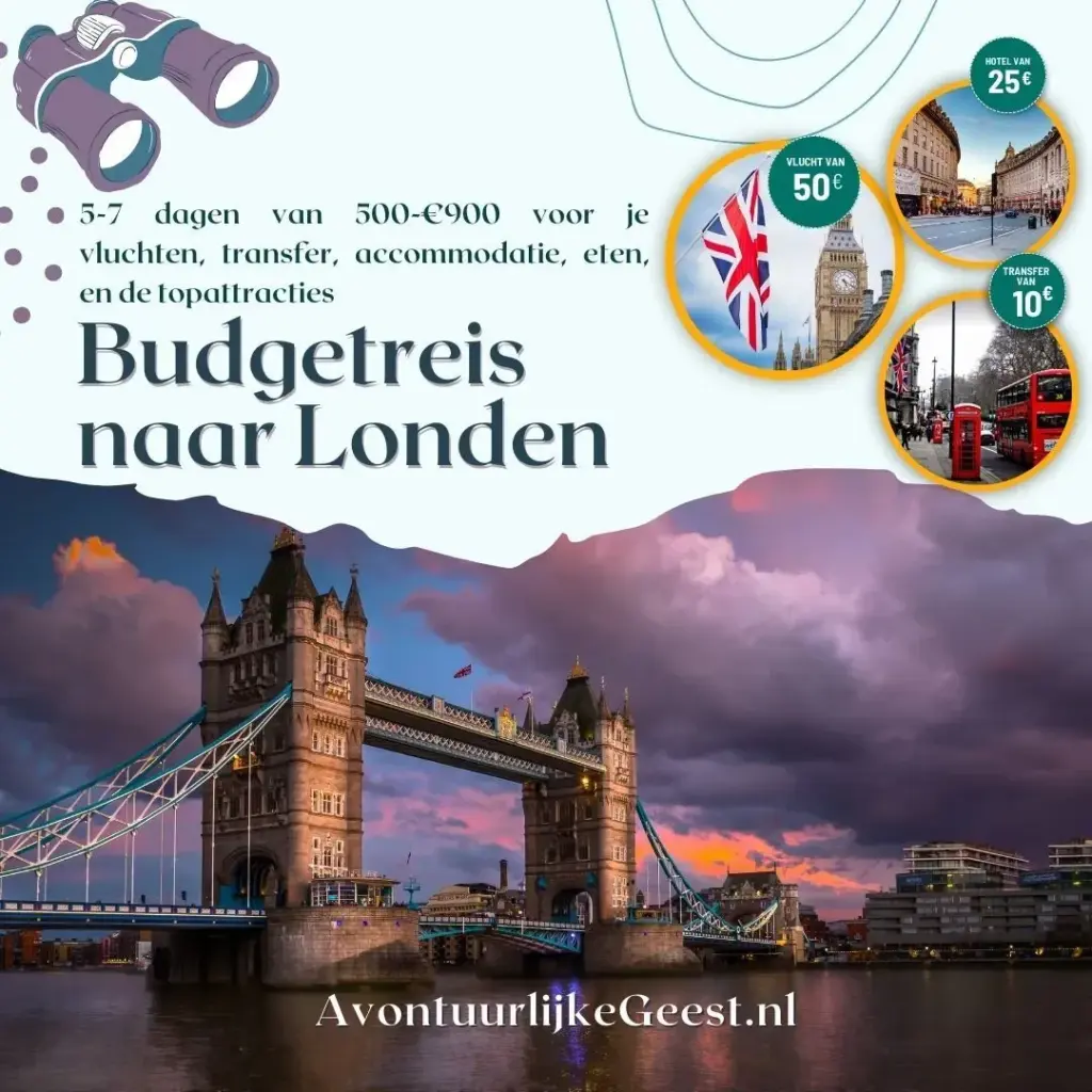 image 5a8e076b d549 49a9 9e70 3d7df1dbfa8d.webp