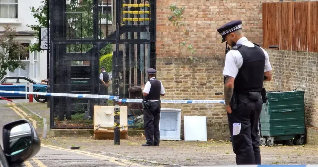 image 5bdba7dc dbad 4673 b391 ab04d25409ff.webp