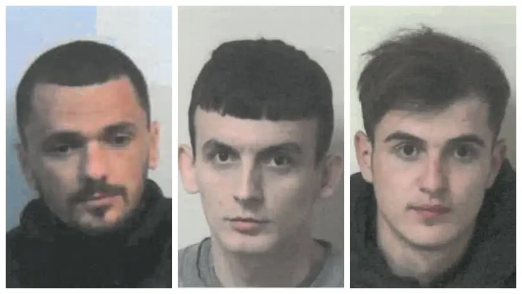 image 6f5a9952 f6c3 4473 a7b6 91a1a6b00572.webp