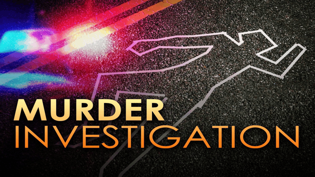 Murder Investigation: Second Arrest in Chatham Stabbing image 71318ee4 28f2 4c3e b348 c41f509c044e.png