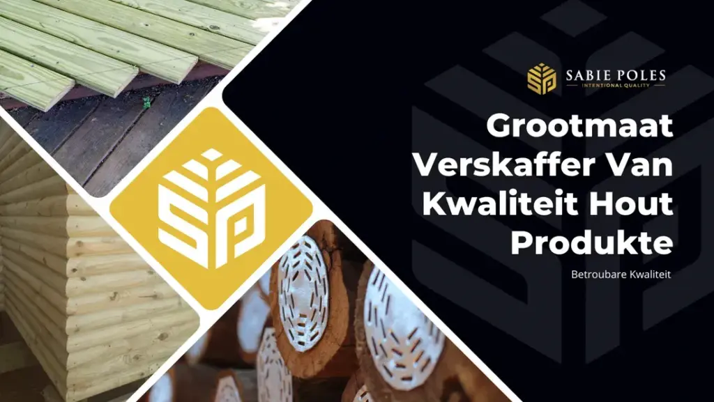 image 766405b3 e00b 482a 9e01 a3e6c0efcfed.webp