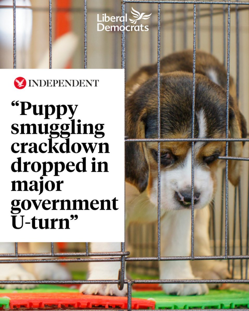 image 80fbce68 409f 4bd2 bbd9 4ef33248b420.png