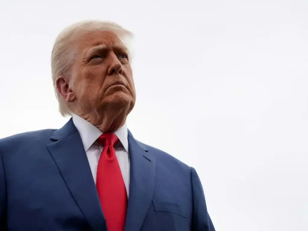 image 8a7fc69d 4c22 4261 8af8 fbb4d76cd7c4.webp