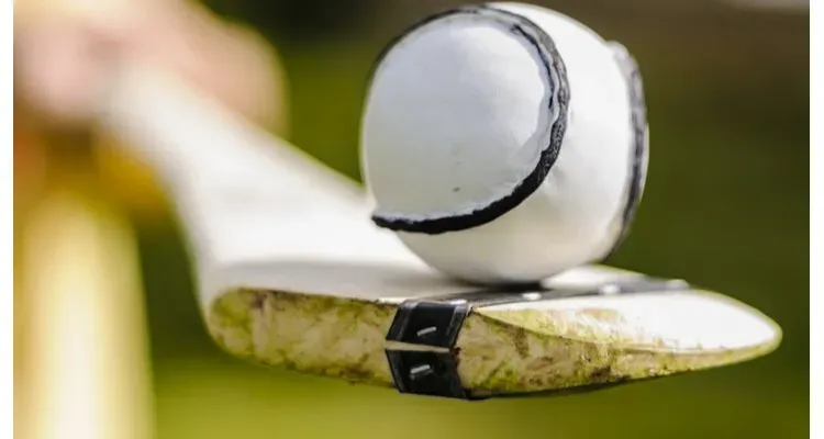 image 8d16e69e 82d5 4613 aea3 80d5213d6131.webp