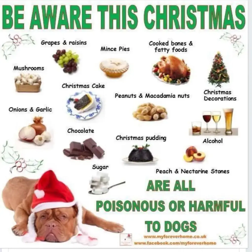 image 8fc37f4b 4b54 4535 a2e2 ce699546a13b.webp