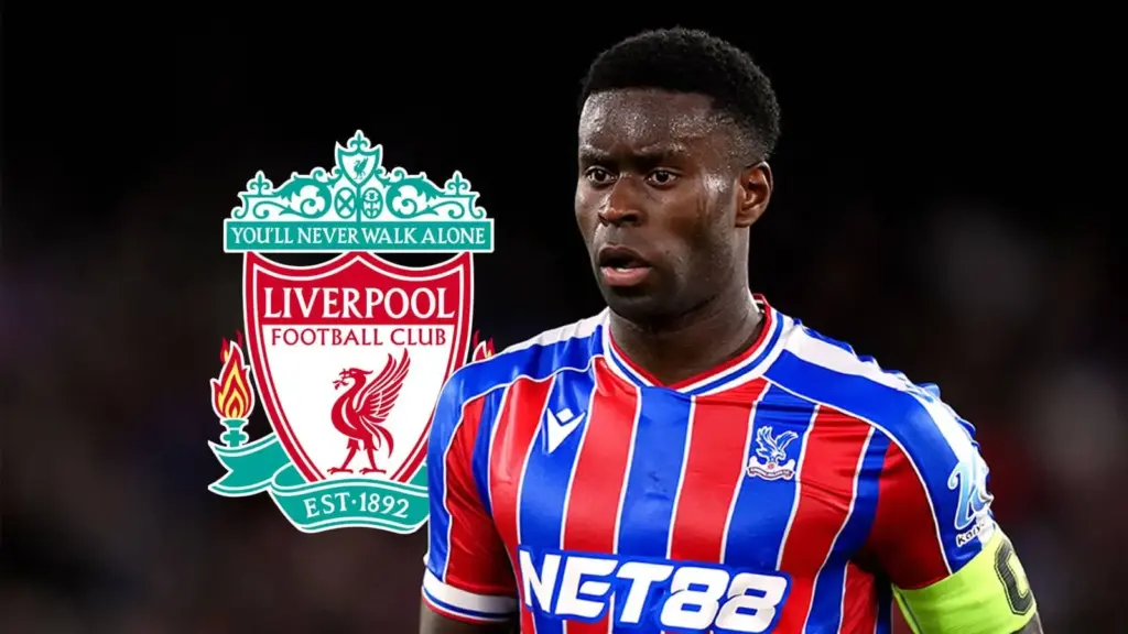 image 91c93097 3ae0 426d a76c 8246d26ebbc9.webp