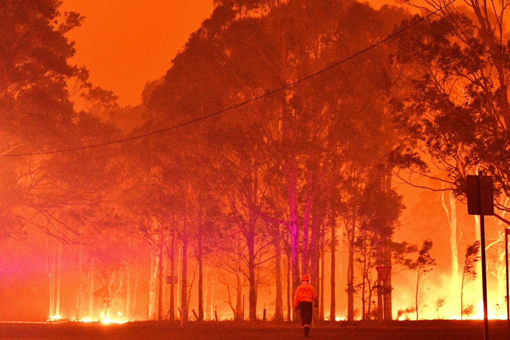 Australia Wildfire: Devastation Strikes Koolewong Homes image 93240a9a 2bb5 4035 8995 4edcb4bc7dcd.png