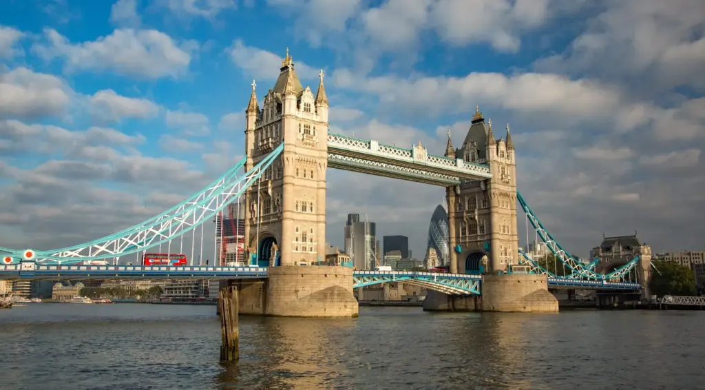 image 99543046 7b79 4e16 913e 2dae3f7578c1.webp