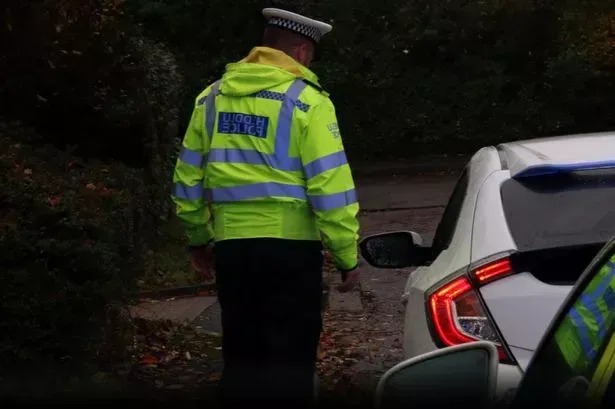 image 9f354933 be43 45f5 8fbe b4e705a58f50.webp