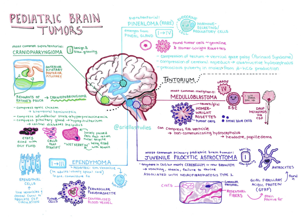 image a742f378 aed0 467e befa 830fe65c733c.png